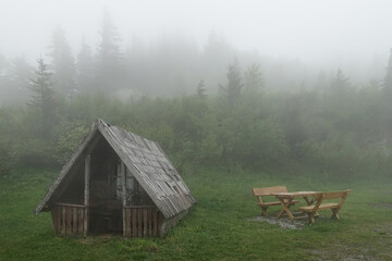 Abandoned wooden cabin in a misty forest. Summer foggy mysterious landscape            
