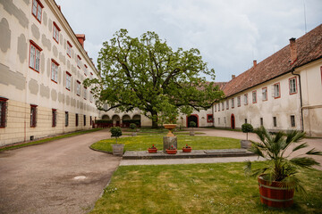 Opocno castle, renaissance chateau, palms and plants in tubs, Italian garden, beige plaster, windows, park with covered paths, sunny summer day, aristocratic residence, Czech Republic