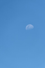 Lune gibeuse en plein jour en Guyane française