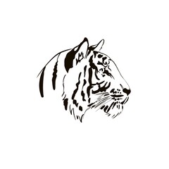 Face tiger 2022. illustration of predator tiger are drawn by hand with ink tattoo logos