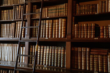 Castle interior, library with high bookshelves full of old books, staircase, Baroque classicism...