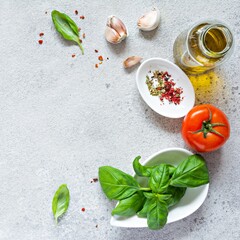Fresh vegetables and herbs with spices on a gray background. Food background. Flatlay of ripe tomato, fresh basil leaves, garlic and spices, healthy food concept, copy space.