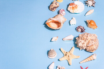 Summer vacation concept. Assorted seashells on a pastel blue background