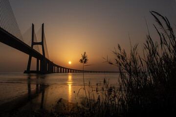 Puente VAsco de Gama