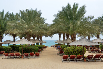 The beach and palms at luxury hotel, Fujairah, UAE - 441053503