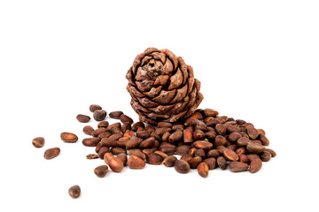 Pine nuts and ripe pine cones on a white background