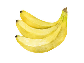 Bunch of bananas watercolor hand drawn isolated on white background.