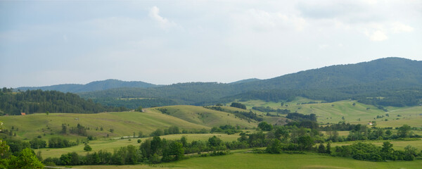 panorama of the countryside and forest on the summer day