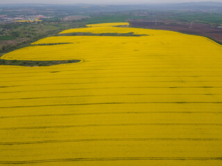 Aerial view of Blooming rapeseed field, Bulgaria