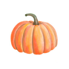 Watercolor orange Pumpkin. Isolated object on white background. Vintage hand drawn watercolor illustration of Autumn vegetable. Vegetarian food