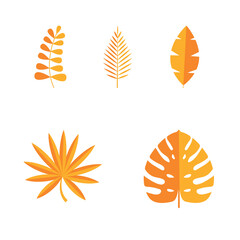 Set of Summer tropical leaves isolated on white background. Vector illustration
