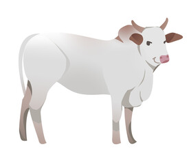 Big White Cow Ox Farm Natural Mammal Animal Cartoon Illustrator Character Design Mascot for Kid
