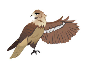 Brown Elegant Eagle Hawk Falcon big Wings Cartoon Illustrator Character Design Mascot for Kid