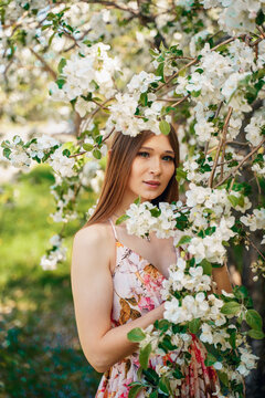 Portrait of a beautiful cute girl in blooming apple orchards