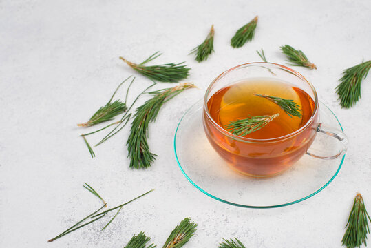 Pine Needle Tea In A Cup On A White Textured Background, Empty Copy Space For Text