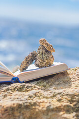 stones on the pages of an open book on the seaside