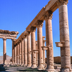 Fototapeta premium Palmyra ruins