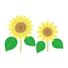 ひまわりのイラスト