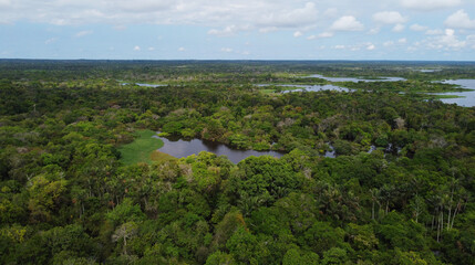Aerial view of Amazon rainforest, near the city of Manaus, Amazonas state, Brazil.