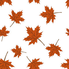 Fototapeta premium Autumn Set of Orange Maple Leaves on White Background