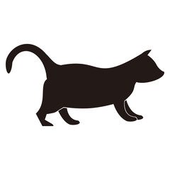 Cat icon vector illustration symbol
