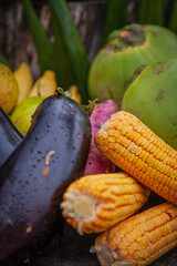 Organic and agroecological products are healthier and pesticide-free.