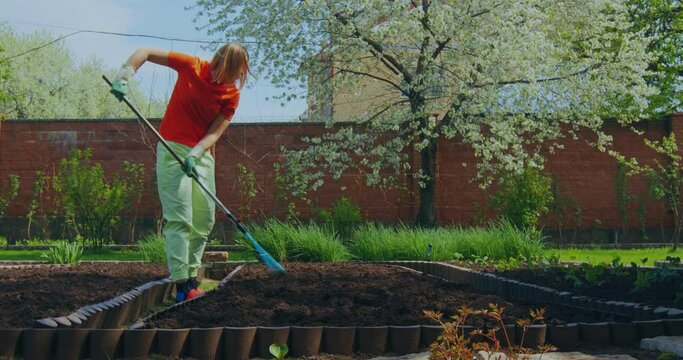 Landscaping, farming, gardening people. Female farmer working in garden, loosening soil with rake for planting