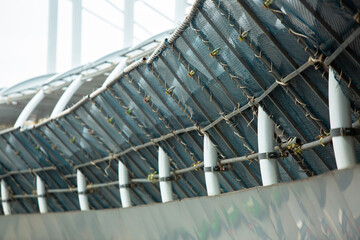 Selective focus to scaffolding pipe with mesh at construction site.