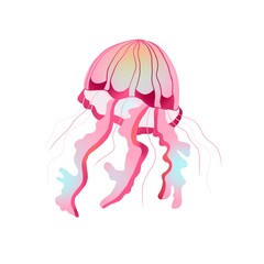isolated jellyfish on white background