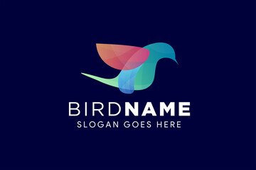 transparency of colorful humming bird logo design template isolated in dark blue background.