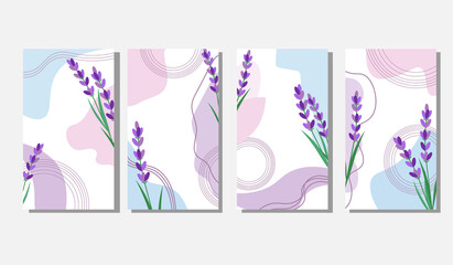 Set of backgrounds with lavender. Abstract template with spots and flowers. Vector illustration isolated on white background. For the use and design of social networks, cards and invitations, covers