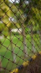 Fototapeta premium Rusted wire fence, focus selected. Most area blur