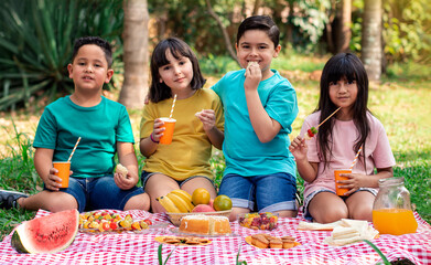 child picnic in the park
