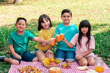 child picnic in the park