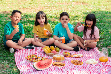 child picnic in the park