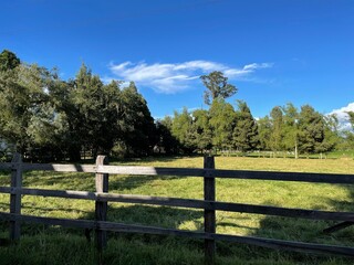 nature view green farm 