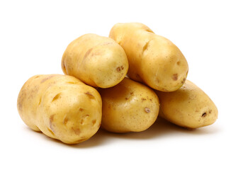 potato on a white background