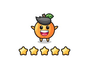 the illustration of customer best rating, apricot cute character with 5 stars