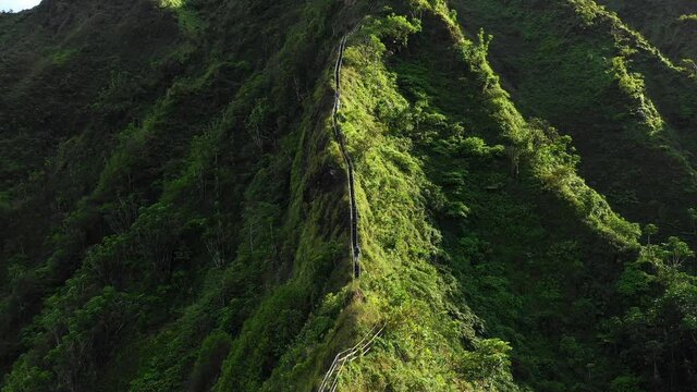 Aerial Tracking A Hiker Climbing A Mountain Ridge Hiking Trail Stairway, With Rough Terrain And Lush Green Slopes - Oahu, Hawaii