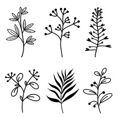 Vector set of botanical elements. Twigs with leaves, wildflowers, herbs, plant branches. Hand-drawn black doodle. Isolated icons on a white background. The contour of the sprout. Monochrome.