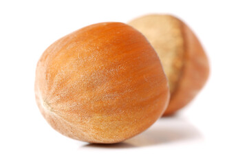 Hazelnuts on a white background
