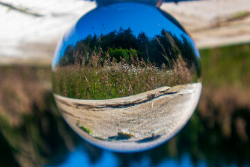 Meadow and Trees at Joseph Whidbey State Park, Washington