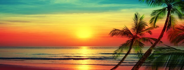 Beautiful sunset beach landscape, exotic tropical island nature, blue sea water, ocean waves, colorful red yellow sky, palm tree leaves silhouette, golden sun glow reflection, summer holidays vacation