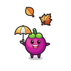 cartoon of the cute mangosteen holding an umbrella in autumn