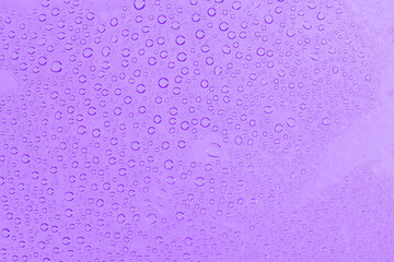 water drops on purple background