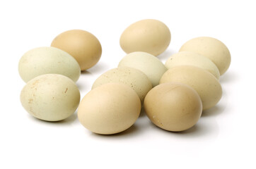 eggs on a white background 