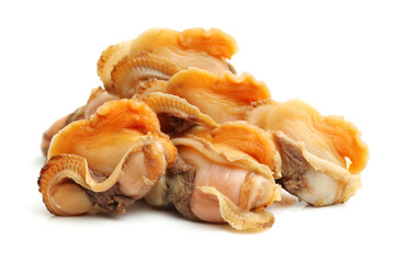 Scapharca subcrenata on white background 