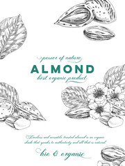 Almond composition poster, retro hand drawn vector illustration.