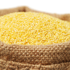 Millet on white background