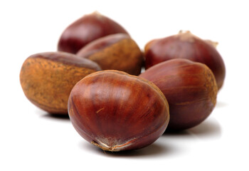 Fresh chestnuts on white background
